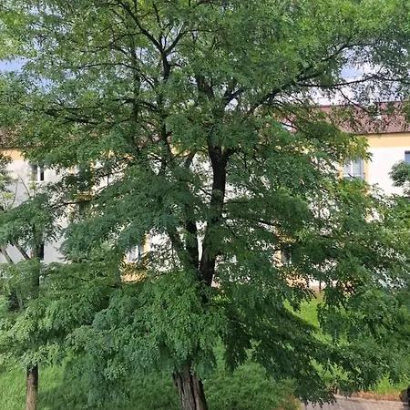 Tani Apartamento Łódź