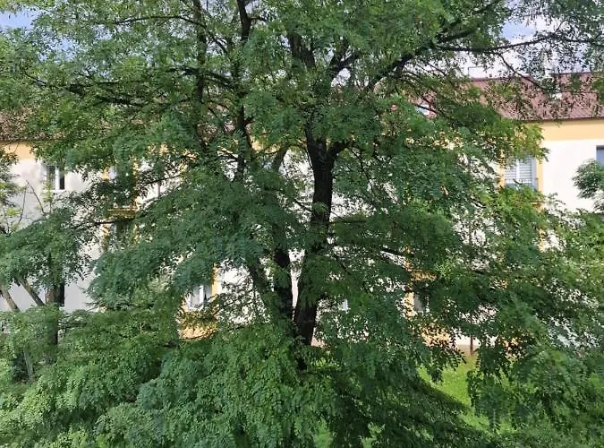 Tani Lägenhet Łódź